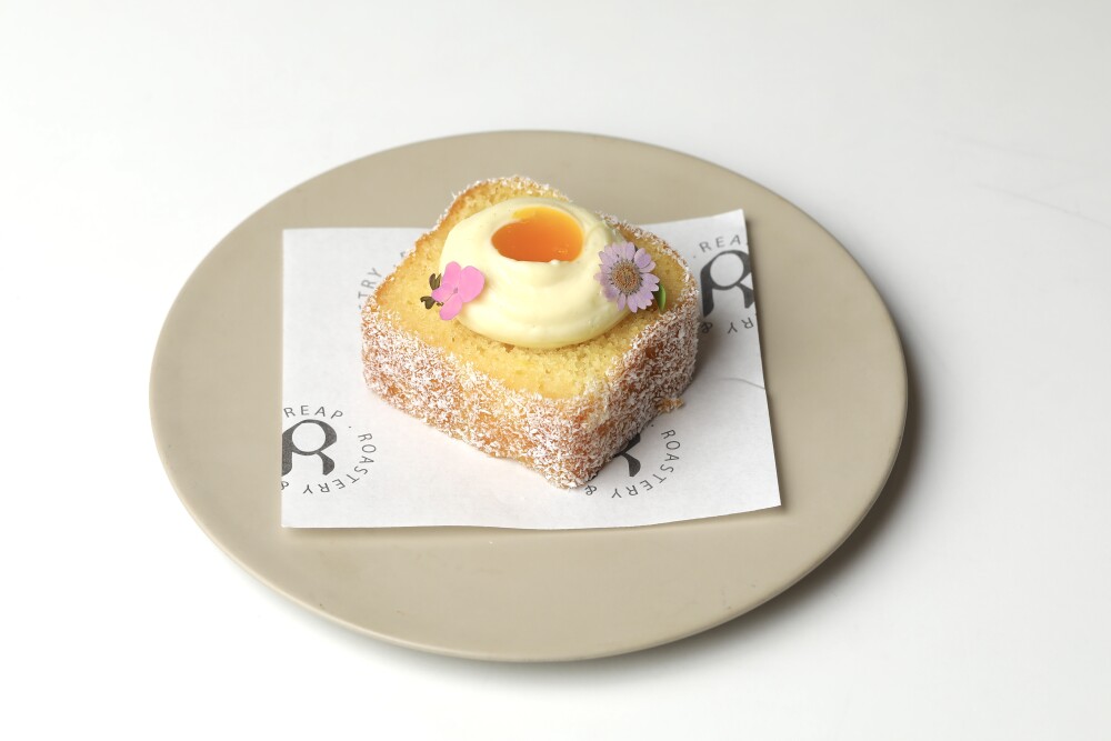 مستكه كيك MASTIC CAKE