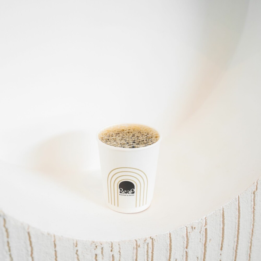 V60 كأس النخبة